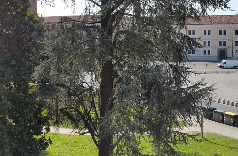 Hotel Al Prato Padova Esterno foto